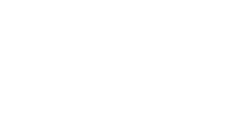 Rise Fund